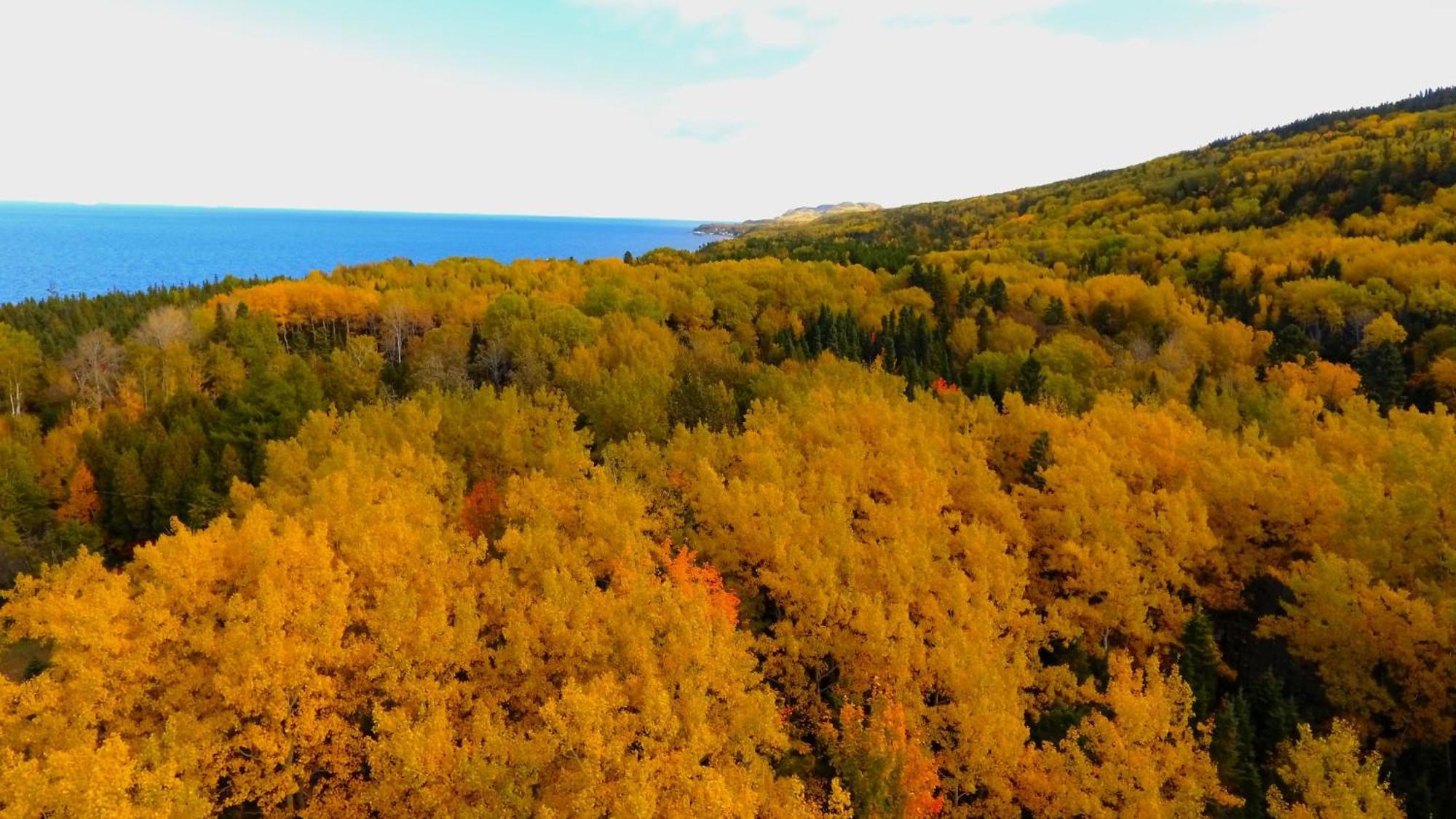 Chalets Bsl * Saint-Simon-de-Rimouski