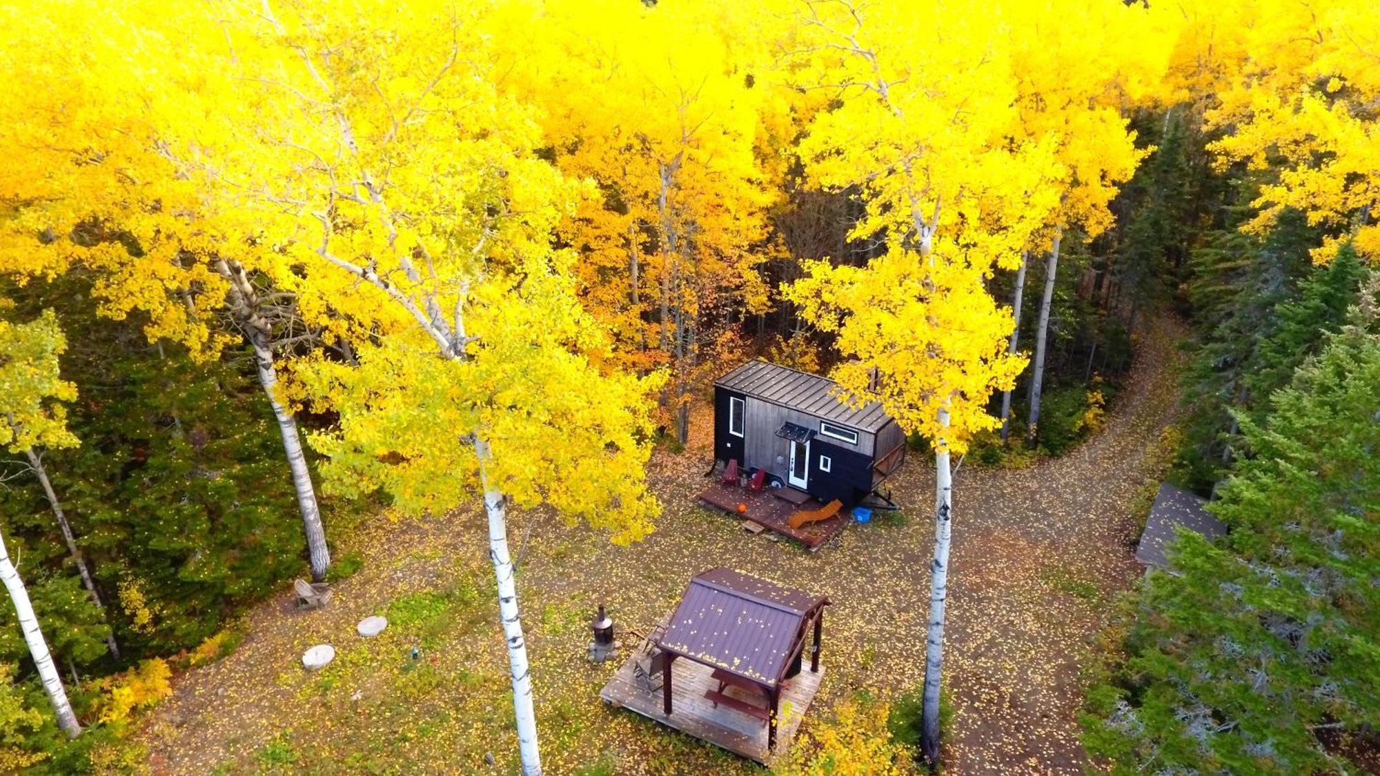 Chalets Bsl